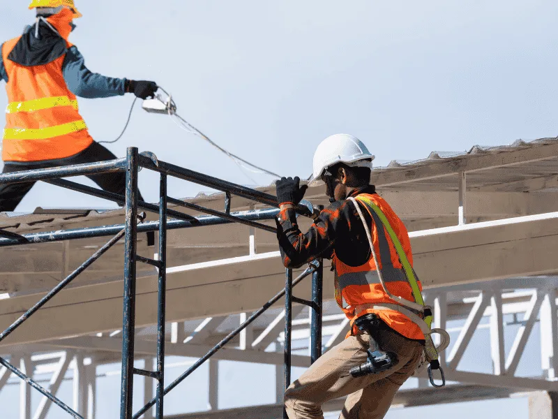 Regular roof maintenance to prevent leaks, mold, and damage