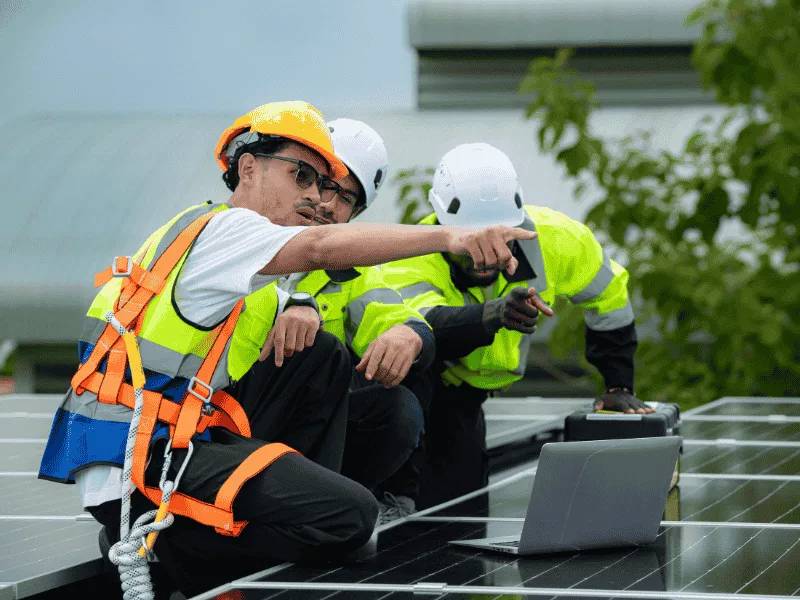 DIY vs professional emergency roofing in Tampa